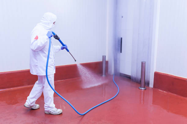 Reliable Guyton, GA Pressure Washing Services Solutions