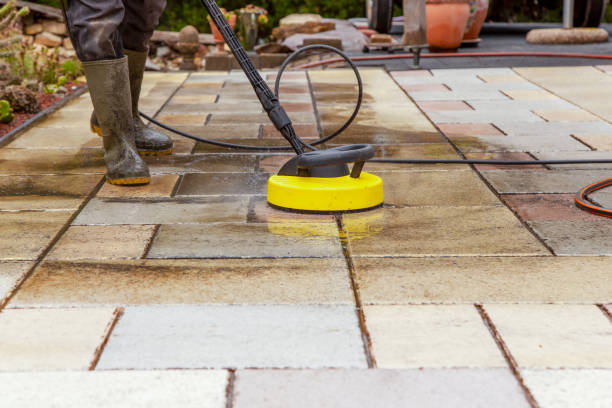 Best Roof Cleaning and Mildew Removal in Guyton, GA